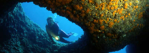 Case in affitto a Salina - Leni - Rinella - Isole Eolie - Sicilia