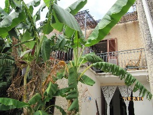 Le foto della Casa Bianca isola di Salina